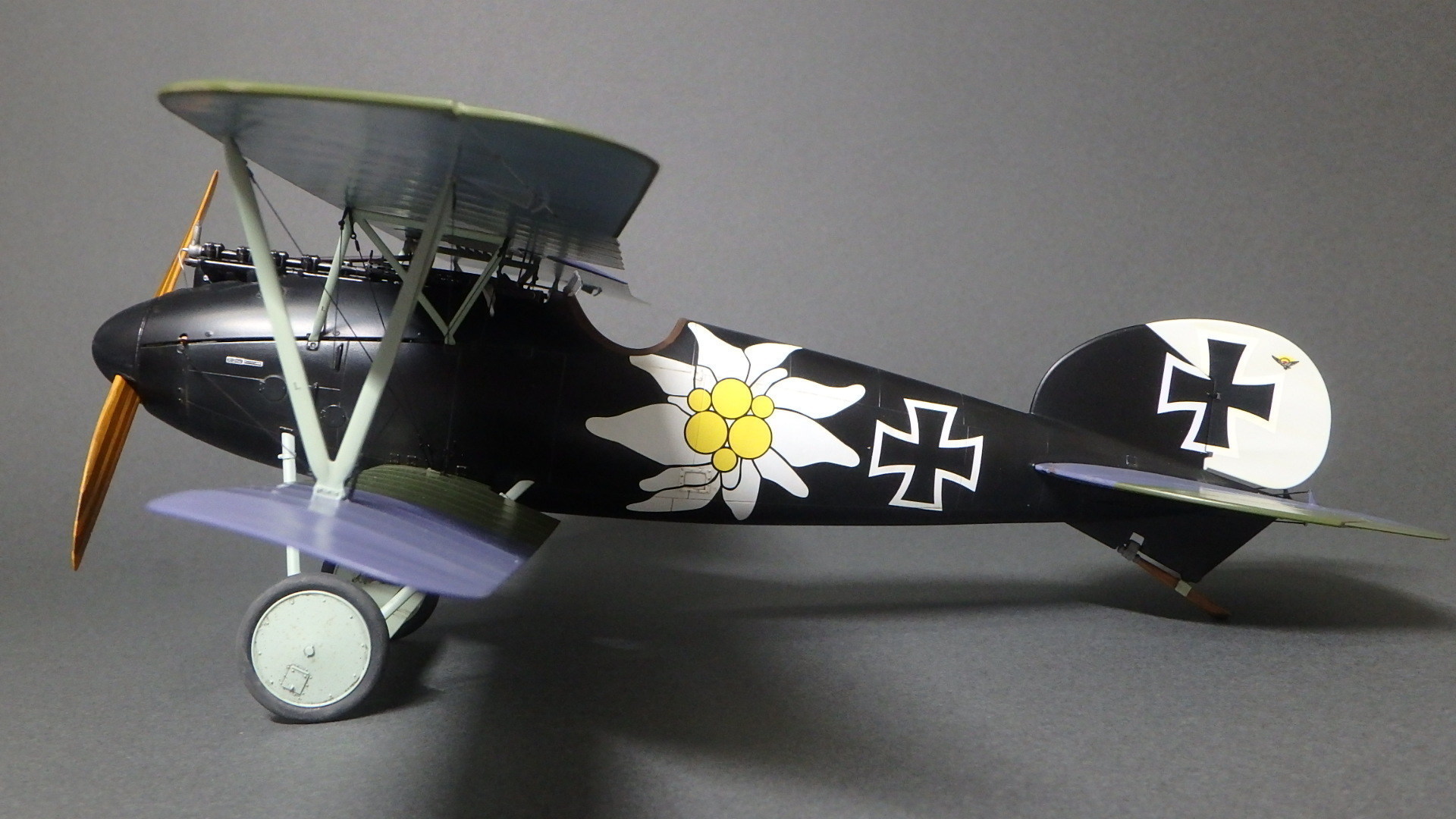 Wingnut Wings - 1/32 Albatros D.V/D.Va 