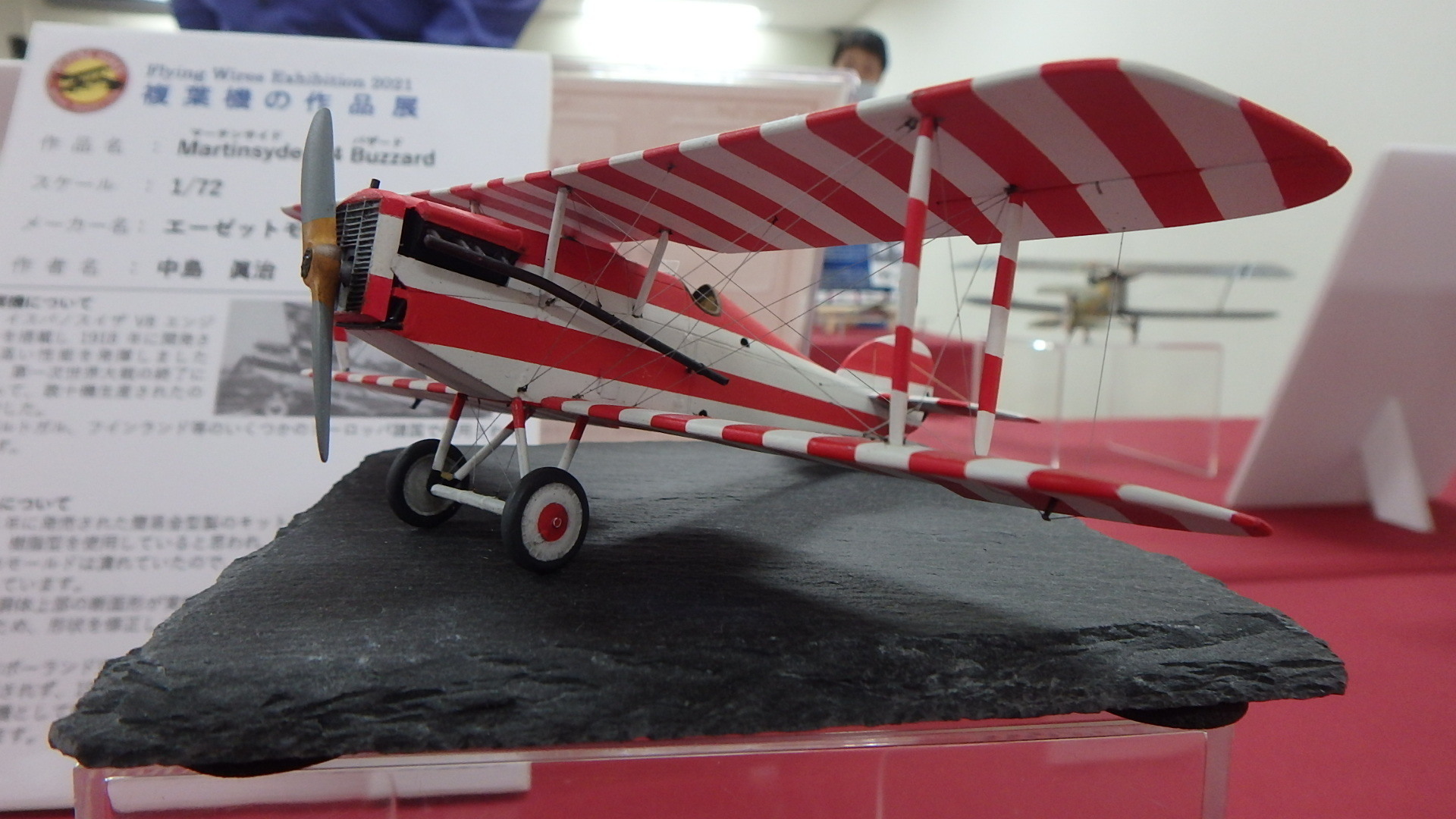 フライングワイヤーズ 複葉機模型展示会 その3: ヒロシのホビー