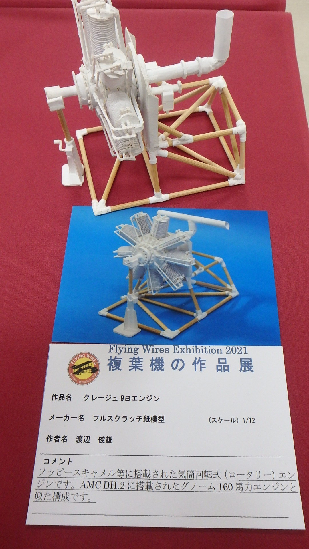 フライングワイヤーズ 複葉機模型展示会 その3: ヒロシのホビー