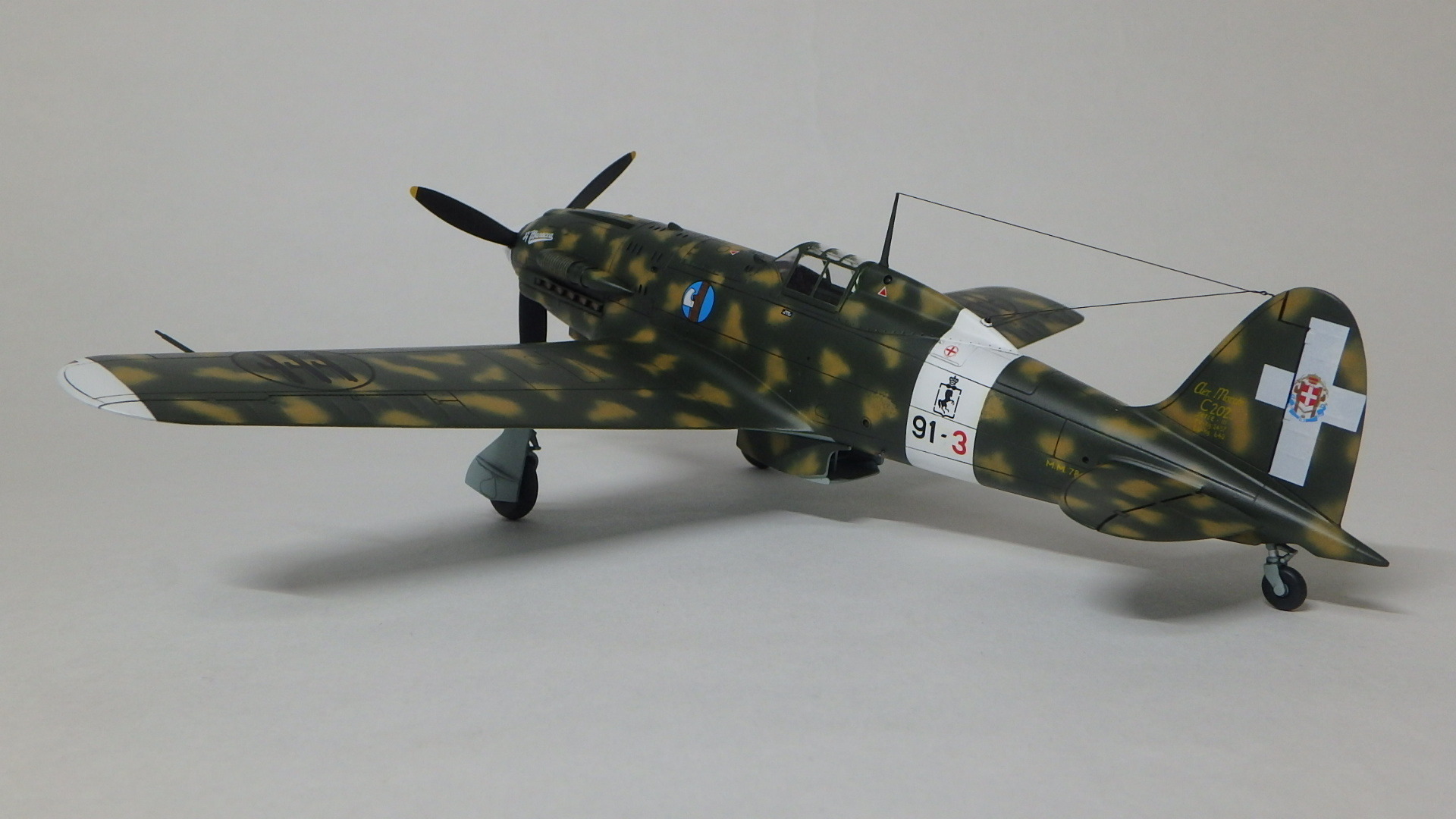 ハセガワ 1/48 MC202 朽ちたジオラマ - プラモデル