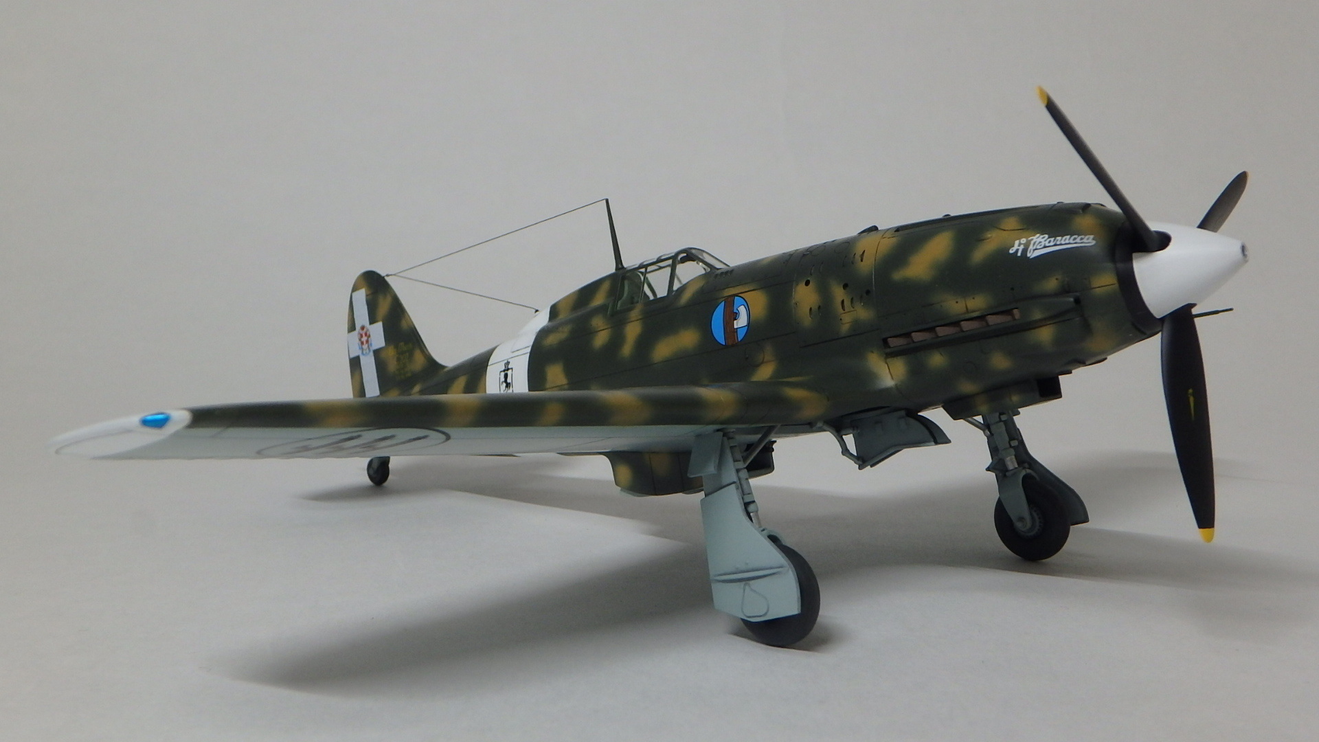 ハセガワ 1/48 MC202 朽ちたジオラマ - プラモデル