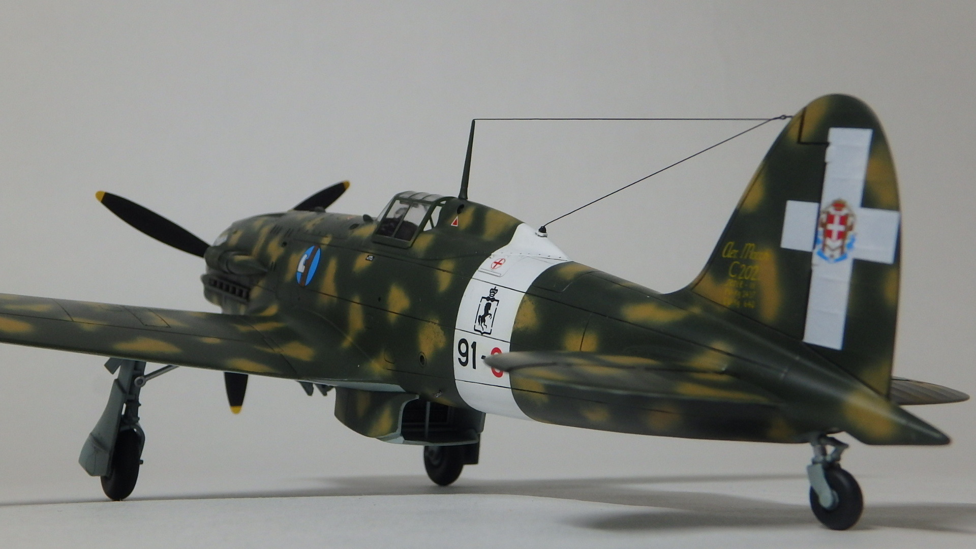 ハセガワ 1/48 MC202 朽ちたジオラマ - プラモデル